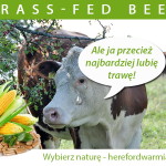 grass-fed-beef 