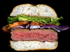 Hamburger-Scanwich-Jon-Chonko